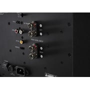 Definitive Technology Descend DN15 15