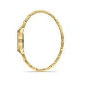 Omax Watches For Women Metal Analog 00jed026g002