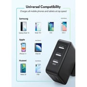 Ravpower 30W 3-Port Wall Charger Black