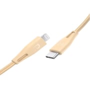 Ravpower USB Type C to Lightning Cable 2m Gold