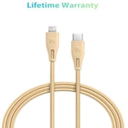 Ravpower USB Type C to Lightning Cable 2m Gold