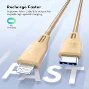 Ravpower USB Type C to Lightning Cable 2m Gold