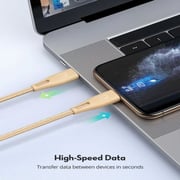 Ravpower USB Type C to Lightning Cable 2m Gold