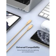 Ravpower USB Type C to Lightning Cable 2m Gold