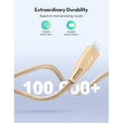 Ravpower USB Type C to Lightning Cable 2m Gold