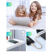 Ravpower USB Type C to Lightning Cable 2m Gold