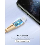 Ravpower USB Type C to Lightning Cable 2m Gold