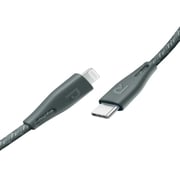 Ravpower USB Type C to Lightning Cable 2m Green