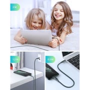 Ravpower USB Type C to Lightning Cable 2m Green