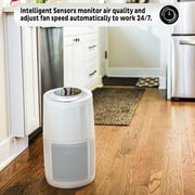 Instant Air Purifier AP200W