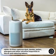 Instant Air Purifier AP300W