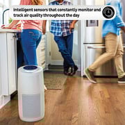 Instant Air Purifier AP300W