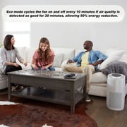 Instant Air Purifier AP300W