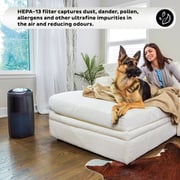 Instant Air Purifier AP300B