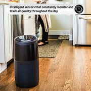Instant Air Purifier AP300B
