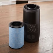 Instant Air Purifier AP300B