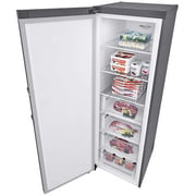 LG Upright Freezer 324 Litres GR-B414ELFM