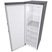 LG Upright Freezer 324 Litres GR-B414ELFM