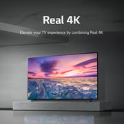 LG UHD 4K TV 65 Inch UQ91 Series, Cinema Screen Design 4K Active HDR webOS22 with ThinQ AI 65UQ91006LC (2022 Model)