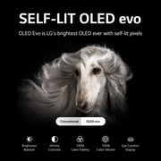 LG OLED 65G26LA 4K Smart evo OLED Television 65inch - 2022
