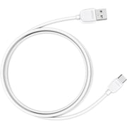 Intex USB Type-C Cable 1m Assorted