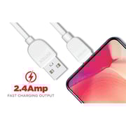 Intex USB Type-C Cable 1m Assorted
