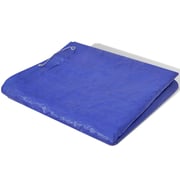 Vidaxl Pool Cover Pe Rectangular 90 G/sqm 540 X 270 Cm