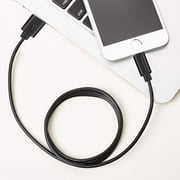 Honeywell Lightning Cable 1.2m Black