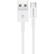 Rockrose Zeta AC USB-C Cable 1m White