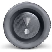 JBL Portable Speaker Grey