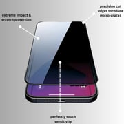 Smart Alien Privacy Screen Protector Black iPhone 13