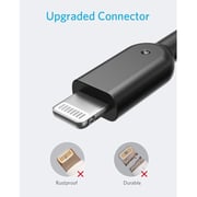 Anker Powerline Ii Usb A Cable With Lightning Connector 10ft 3m (a8434h12)