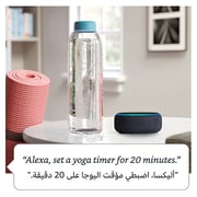 Amazon Echo Dot 3rd Gen Smart Speaker with Alexa Charcoal