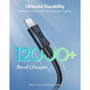Ravpower USB Type-C To Lightning Cable 1m/2m Combo Pack Black