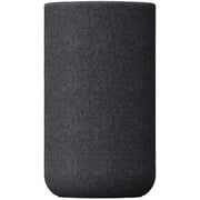 Sony Wireless Rear Speaker Set SA-RS5