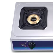 Impex Igs 121 2 Burner Lp Stainless Steel Body Gas Stove