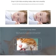 Vimtag P3 Wireless IP Camera