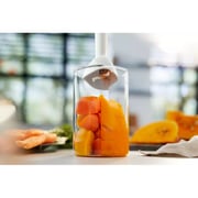 Philips Series 3000 ProMix Hand Blender HR2520/01
