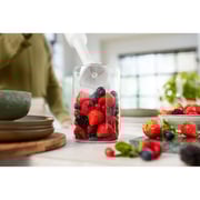 Philips Series 3000 ProMix Hand Blender HR2520/01