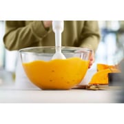 Philips Series 3000 ProMix Hand Blender HR2520/01