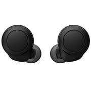 Sony WF-C500 Truly Wireless In-Ear Earbuds with Mic, Black