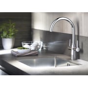 GROHE Ambi Monobloc Two Handle Kitchen Sink Mono Mixer Tap Swivel Spout 30189000