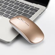 HXSJ M80 2.4ghz Wireless 1600dpi Three-speed Adjustable Optical Mute Mouse - Gold