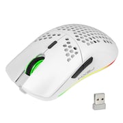 HXSJ T66 RGB 2.4G Wireless Gaming Mouse RGB Lighting Charging Mouse with Adjustable DPI Ergonomic Design for Desktop Laptop White