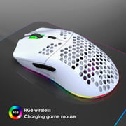 HXSJ T66 RGB 2.4G Wireless Gaming Mouse RGB Lighting Charging Mouse with Adjustable DPI Ergonomic Design for Desktop Laptop White