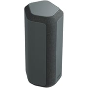 Sony X-Series Portable Bluetooth Speaker Black