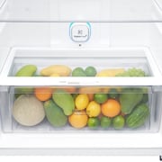 LG Top Mount Refrigerator 506 Litres GN-C722SGGL