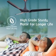 Orient Electric Aerostorm 52 inch Charcoal Grey Ceiling Fan