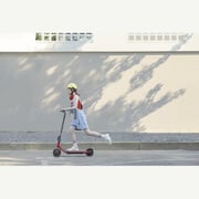 Segway-Ninebot KickScooter C15E