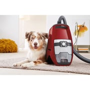 Miele Blizzard CX1 Cat&Dog PowerLine Bagless Cylinder Vacuum Cleaner SKCF5